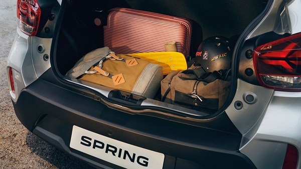 All-New  Dacia Spring reversible boot bin